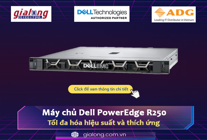 Máy chủ Dell PowerEdge R250